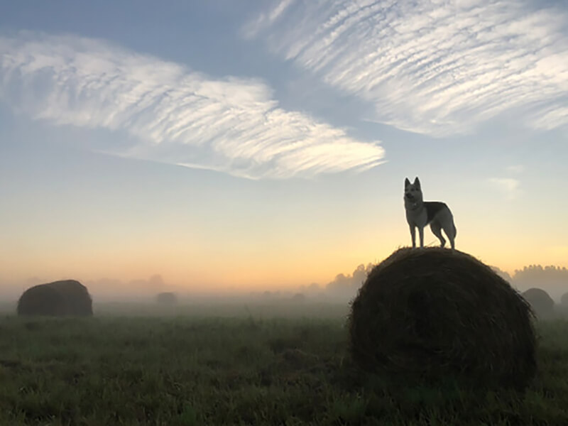 Фотография